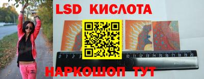гидропоника Кингисепп