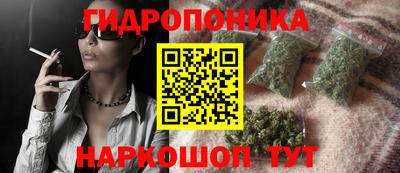 гидропоника Кингисепп