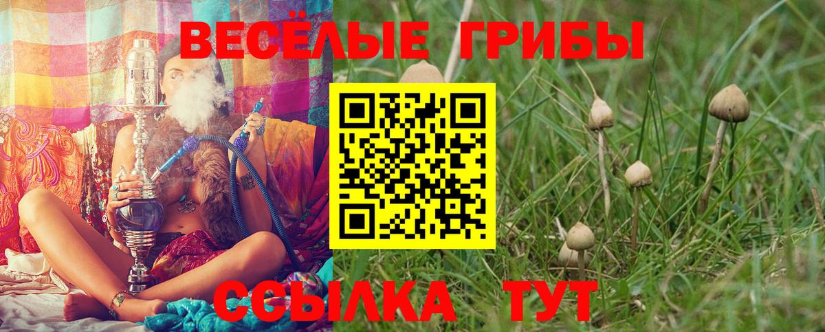 наркошоп  Псилоцибиновые грибы GOLDEN TEACHER  Вход с VPN  Медногорск 