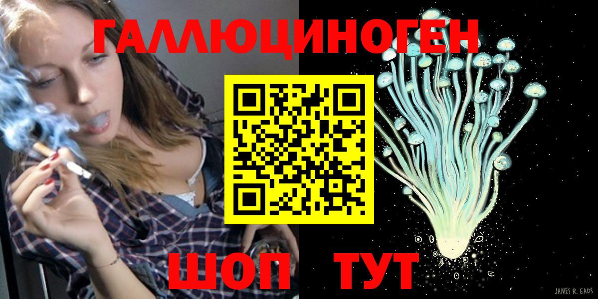 Галлюциногенные грибы Psilocybe Медногорск